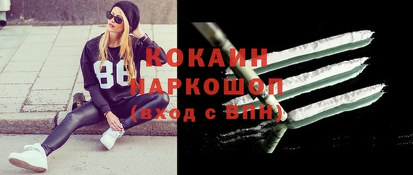 хмурый Алзамай