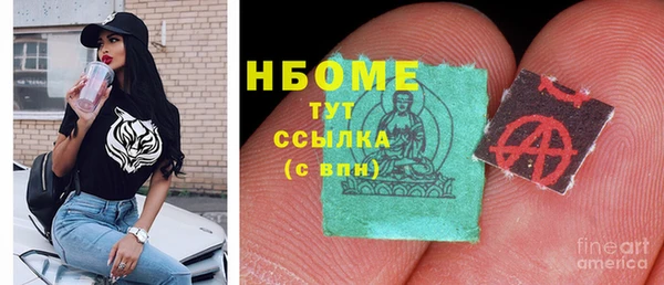 прущие грибы Аркадак