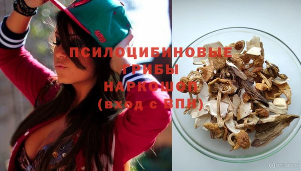 тгк Пролетарск